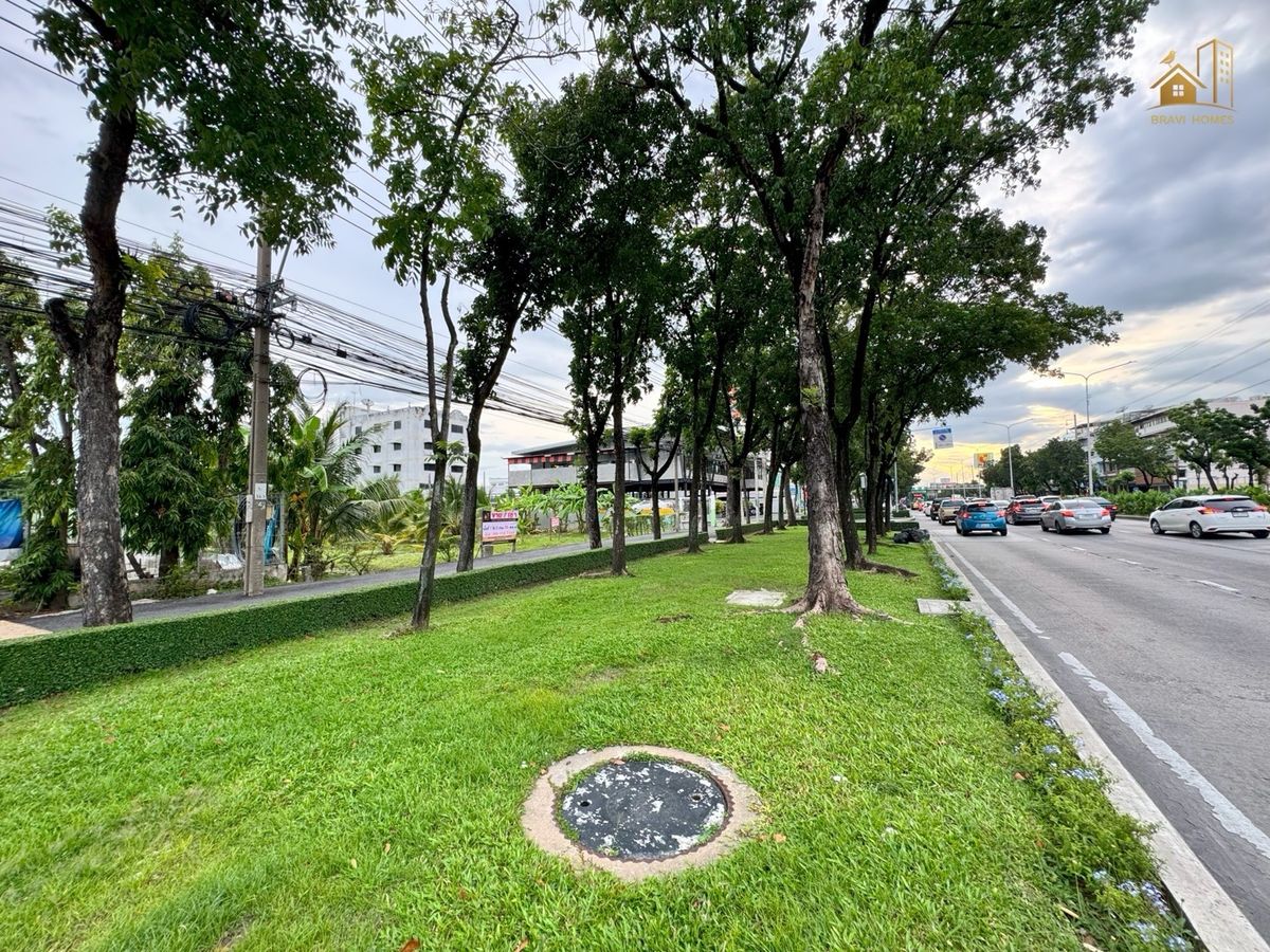 ปล่อยเช่า ‼️ ที่ดิน เพชรเกษม 69/1 ติดถนนใหญ่ – รูปที่ 4