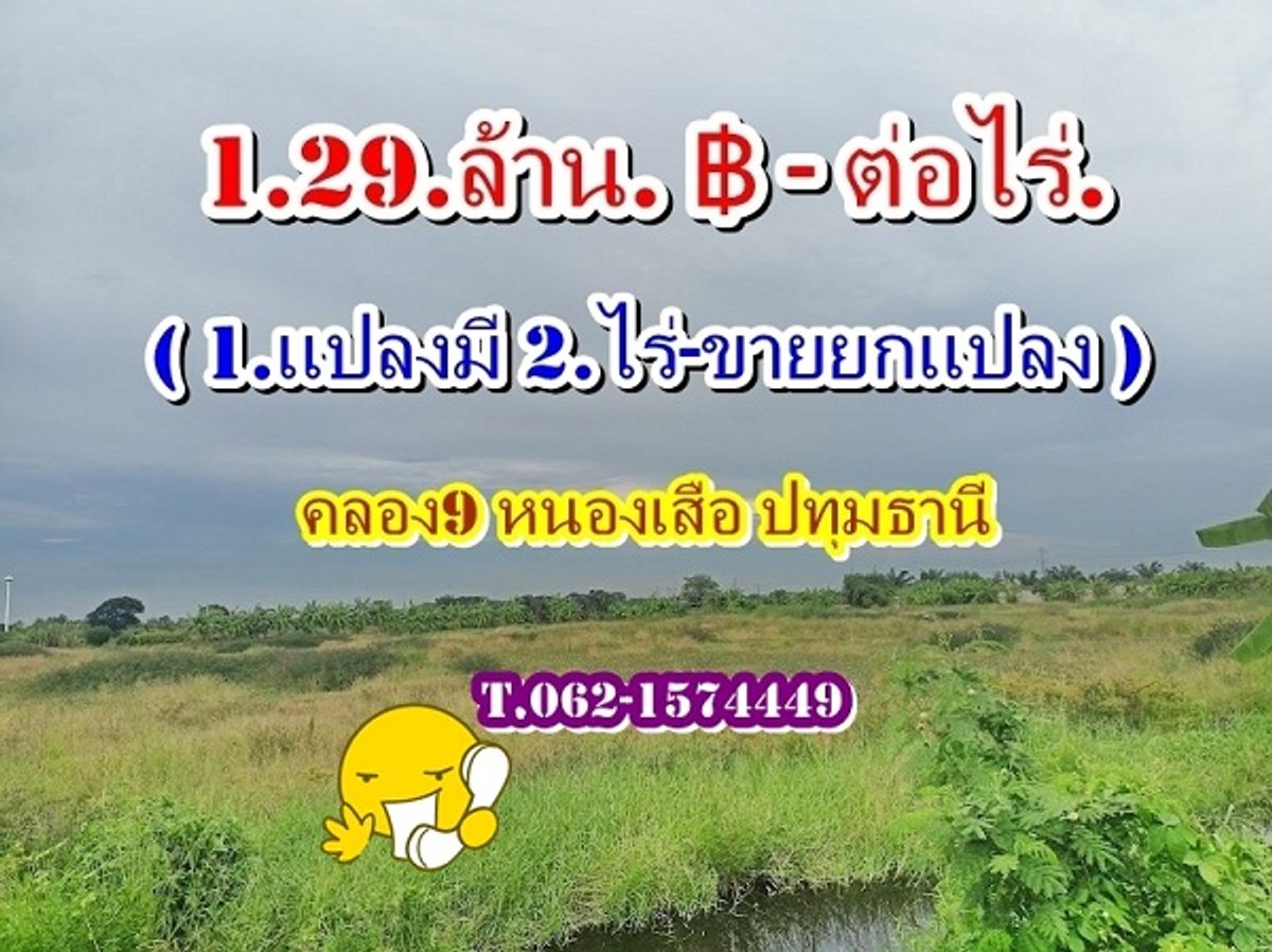 All the land is divided. Sold-payment can be divided. 1. Year at Khlong 9_ Nong Suea _ Pathum Thani Price 1,290,000. ฿ per Rai (1. Transform 2. Rai-Sell raised) (can be paid 1. Free year) T.062-157449 All the land is divided. Sold-payment can be divided. 1. Year at Khlong 9_ Nong Suea _ Pathum Thani Price 1,290,000. ฿ per Rai (1. Transform 2. Rai-Sell raised) (can be paid 1. Free year) T.062-157449