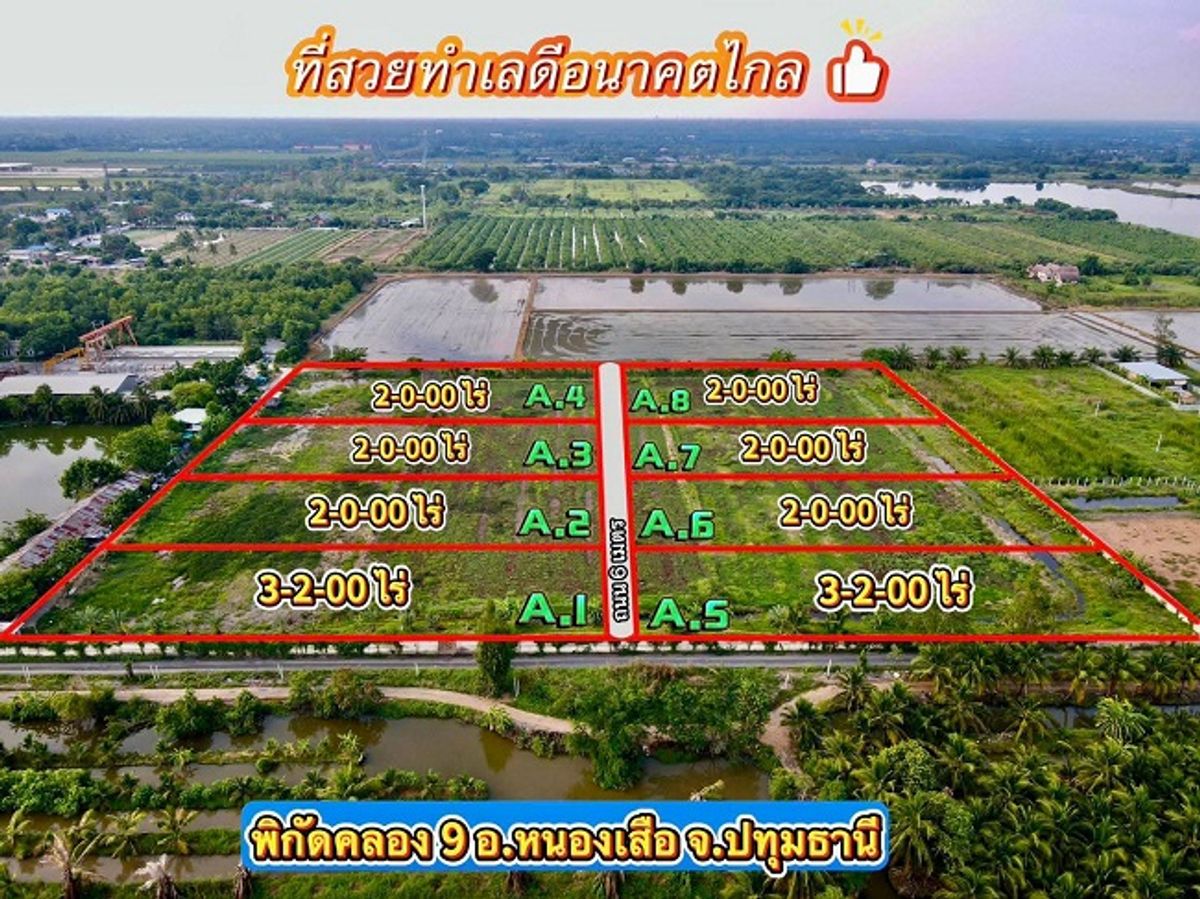 ที่ดินถูกแบ่งแปลงขาย-แบ่งชำระได้ 1.ปี ที่คลอง9_หนองเสือ_ปทุมธานี  ราคา 1,290,000.฿ ต่อไร่ ( 1.แปลงมี 2.ไร่-ขายยกแปลง )  ( แบ่งจ่ายได้ 1.ปี ฟรีดอก) T.062-1574449 – รูปที่ 3