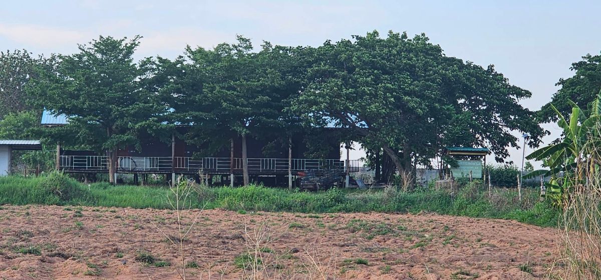 Urgent Sale: Prime Land in Khon Kaen City 66-2-15 Rai with Buildings – รูปที่ 2