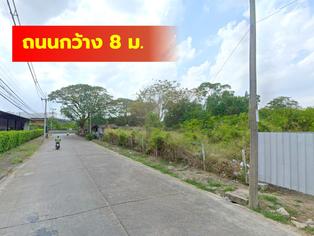Land for sale in Muang Ek, Project 4, size 600 sqw, near Lak Hok BTS station, just 3.3 km. DD Land for sale in Muang Ek, Project 4, size 600 sqw, near Lak Hok BTS station, just 3.3 km. DD