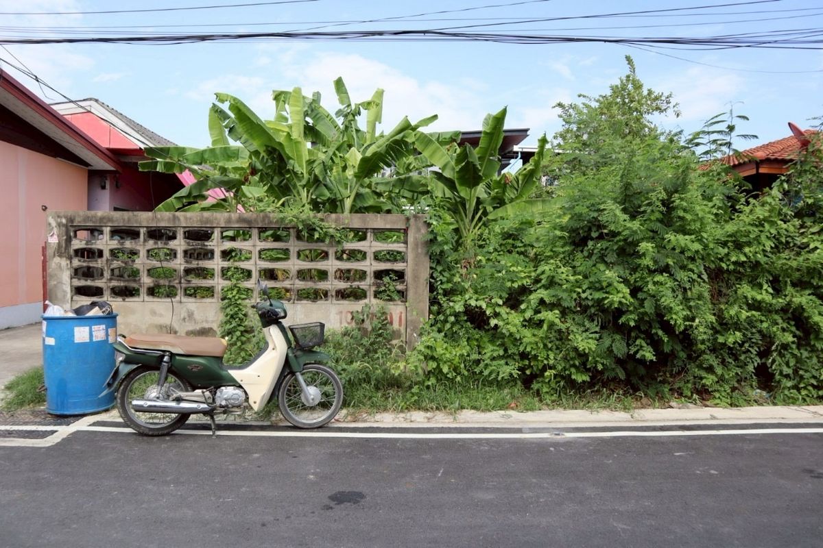 Land for sale 50 sq.w., Bang Punakorn University 2 Soi 4, near the zinc market