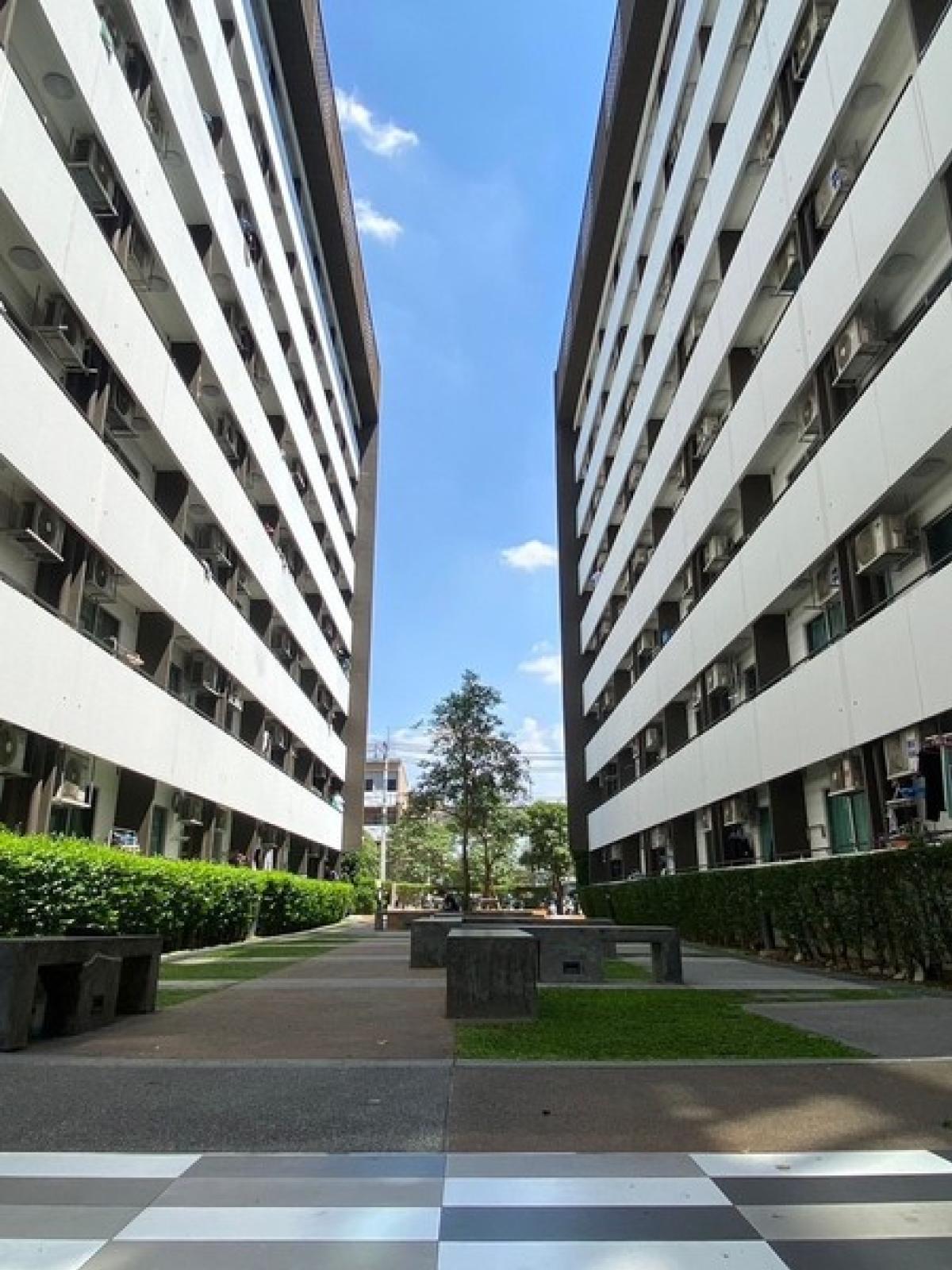 (A033246) Plum Condo Paholyothin 89