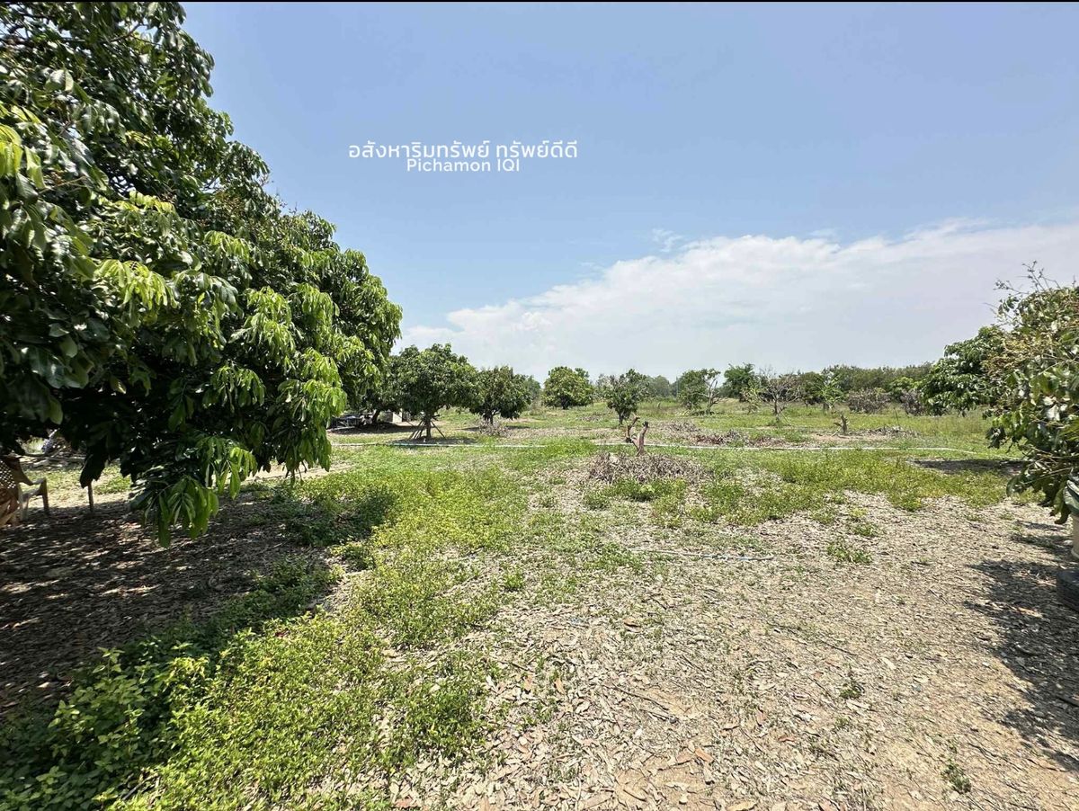 ที่ดิน 5 แปลง ต.บ้านแป้น อ.เมืองลำพูน จ.ลำพูน