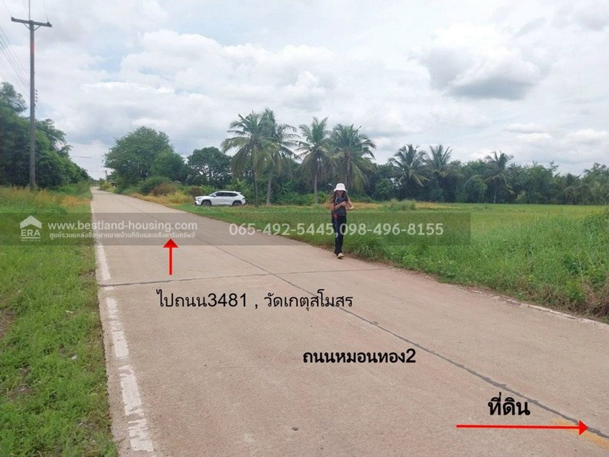 Land for sale 120 sq.m. 5 hundred thousand !! Monthong Subdistrict, Bang Nam Priao District, Chachoengsao Province, near Wat Khlong 18 School About 33 K.M. away from Nong Chok – รูปที่ 2