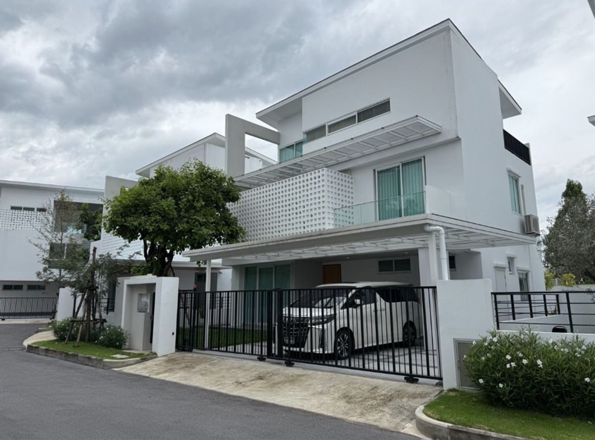 For Rent Nirvana Absolute เอกมัย-รามอินทรา รับสัตว์เลี้ยง For Rent Nirvana Absolute เอกมัย-รามอินทรา รับสัตว์เลี้ยง