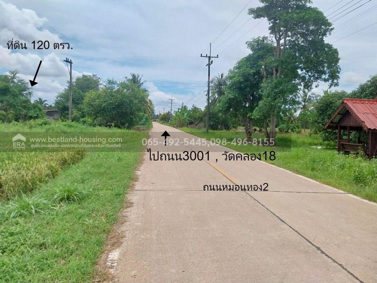 Land for sale 120 sq.m. 5 hundred thousand !! Monthong Subdistrict, Bang Nam Priao District, Chachoengsao Province, near Wat Khlong 18 School About 33 K.M. away from Nong Chok – รูปที่ 3