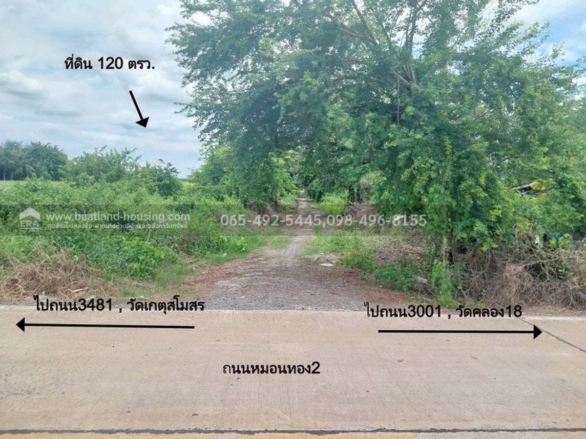 Land for sale 120 sq.m. 5 hundred thousand !! Monthong Subdistrict, Bang Nam Priao District, Chachoengsao Province, near Wat Khlong 18 School About 33 K.M. away from Nong Chok – รูปที่ 4