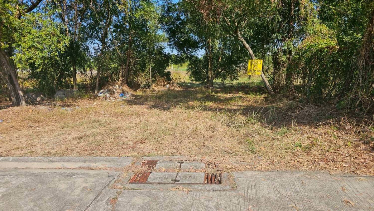 ที่ดินมีนบุรี 60 ตร.ว. ถมแล้ว ซอยราษฎร์อุทิศ 10 เขตมีนบุรี กรุงเทพ
