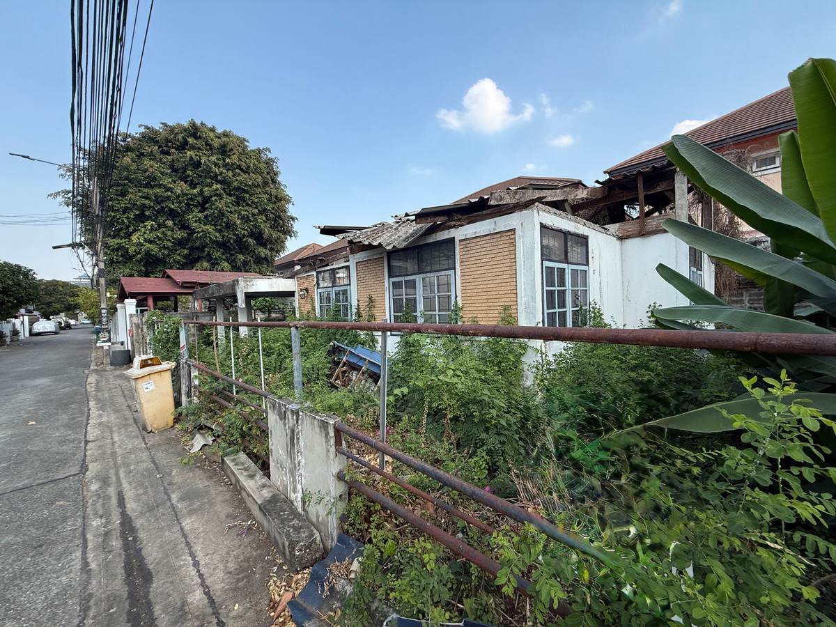ขายที่ดินแถมบ้าน 52.5 ตร.วา ซอยอุดมสุข 50 สุขุมวิท 103 ขายที่ดินแถมบ้าน 52.5 ตร.วา ซอยอุดมสุข 50 สุขุมวิท 103