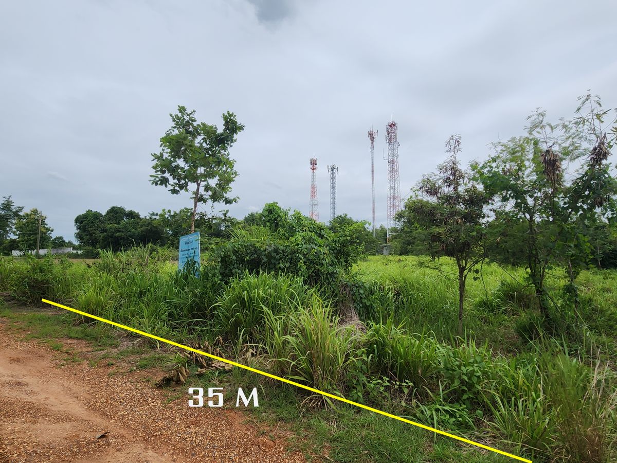“ขายที่ดินเปล่าตัวเมืองโคราช 380 ตร.วา ราคาพิเศษหายากในโซน สุรนารี – หน้ามหาวิทยาลัยสุรนารี (มทส. ) โคราช แปลงสวย ทำเลอนาคต หายากจริง! เหมาะสร้างบ้านพัก–บ้านสวน หรือซื้อเก็บไว้ลงทุน พร้อมถนนสาธารณะเข้า–ออกสะดวก ไม่มีปัญหาแน่นอน” – รูปที่ 2