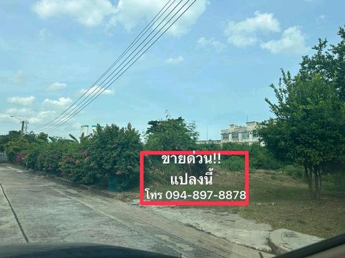 ขาย​ ที่ดิน​เปล่า​ หมู่บ้านร่มรื่น ราชพฤกษ์​28