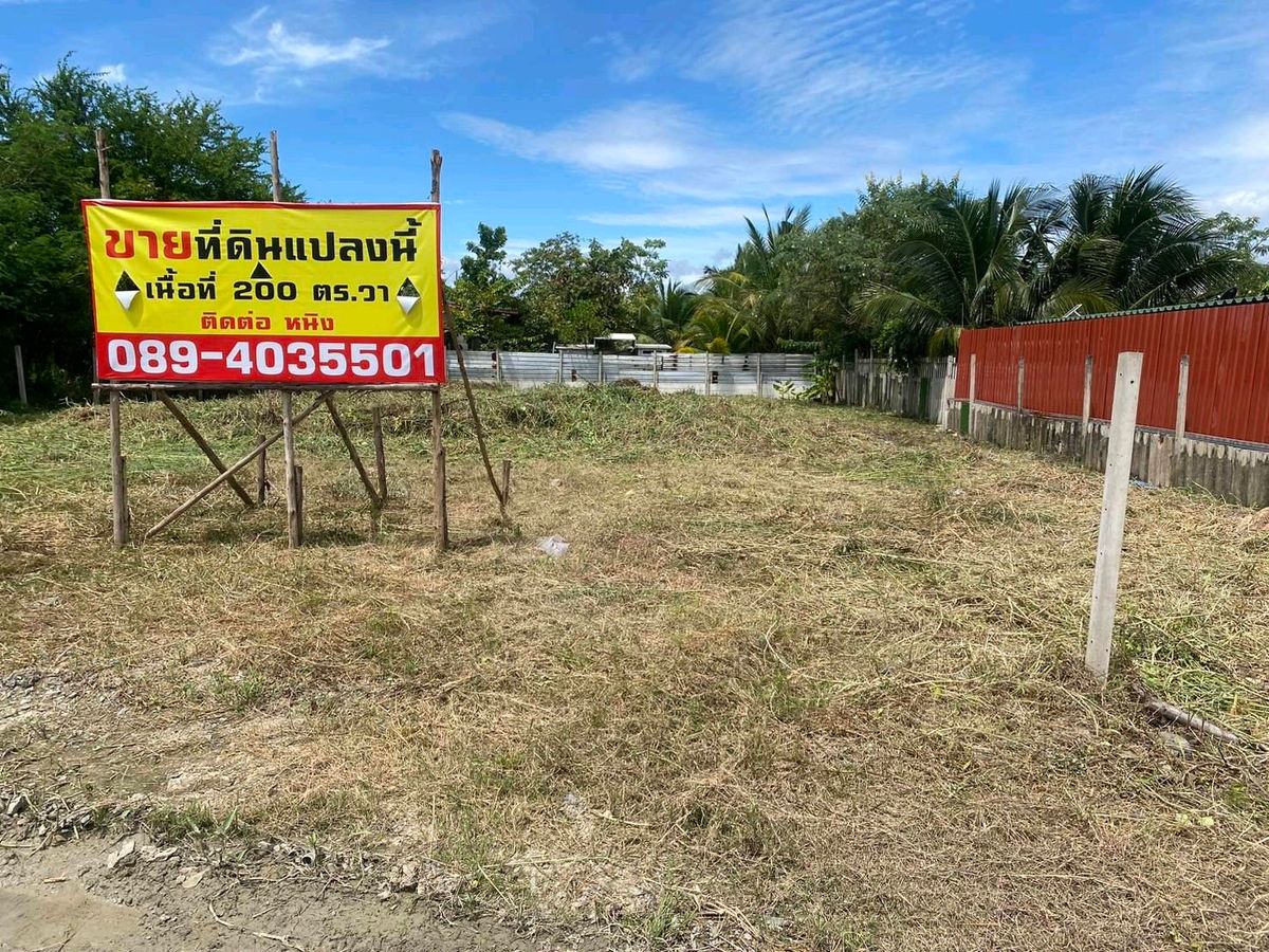 ขายที่ดิน ต.ชัยมงคล ถมแล้วพร้อมสร้างบ้านขนาด200 ตร.วา ขายที่ดิน ต.ชัยมงคล ถมแล้วพร้อมสร้างบ้านขนาด200 ตร.วา
