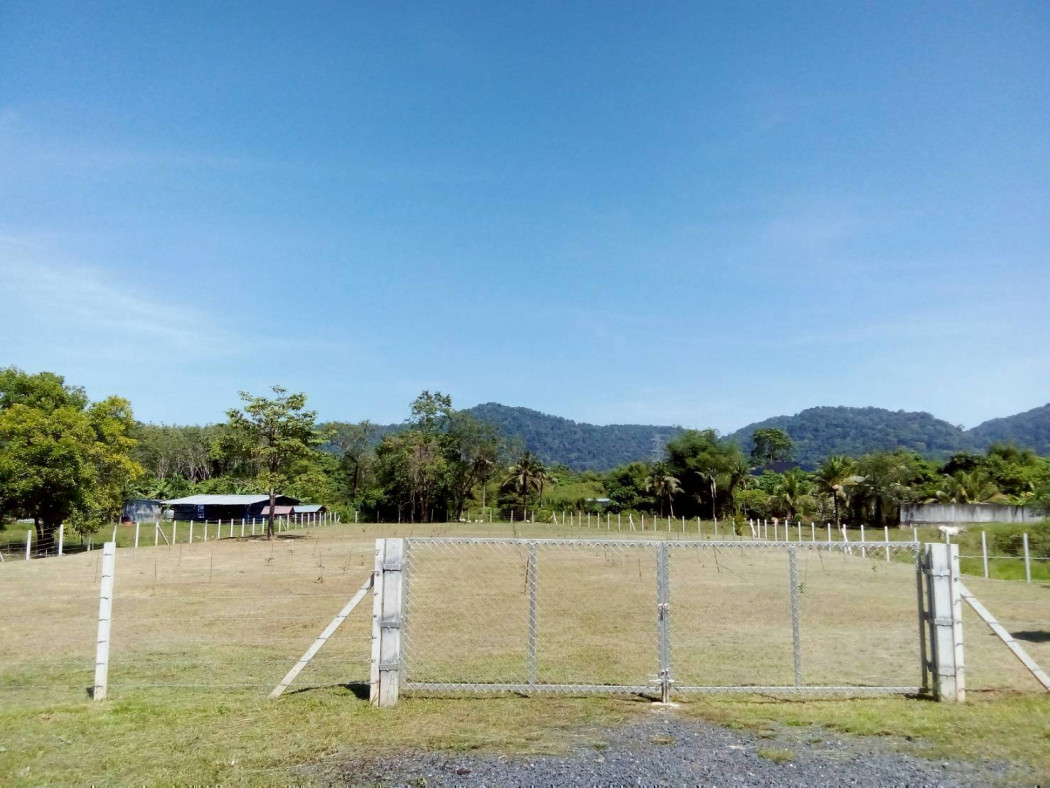 ขายที่ดินภูเก็ต 1-3-63.2 ไร่ ถนนหมายเลข 6014 ใกล้ โรงเรียนบ้านควน และโลตัสถลาง