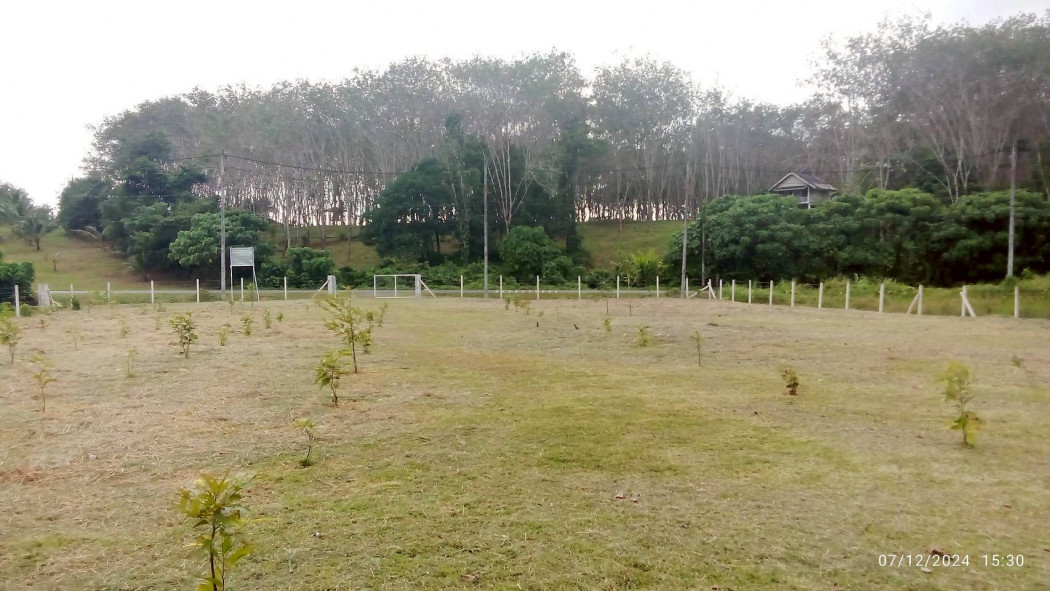 ขายที่ดินภูเก็ต 1-3-63.2 ไร่ ถนนหมายเลข 6014 ใกล้ โรงเรียนบ้านควน และโลตัสถลาง – รูปที่ 4
