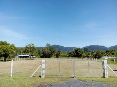 ขายที่ดินภูเก็ต 1-3-63.2 ไร่ ถนนหมายเลข 6014 ใกล้ โรงเรียนบ้านควน และโลตัสถลาง