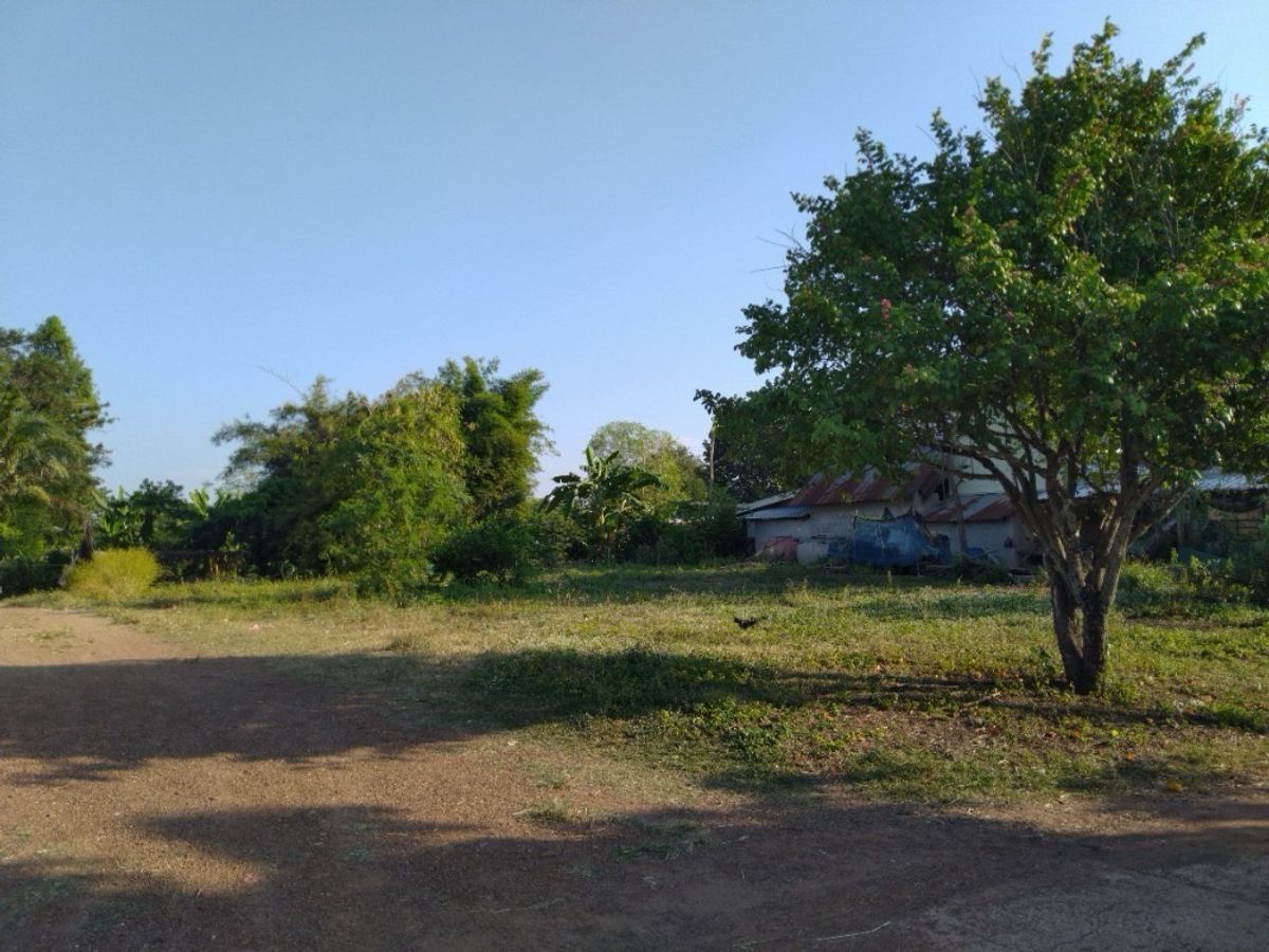 Land for Sale – 191.3 sq.w. (Freehold Chanote Title) on Main Road, near Lotus Wang Nam Yen – รูปที่ 2