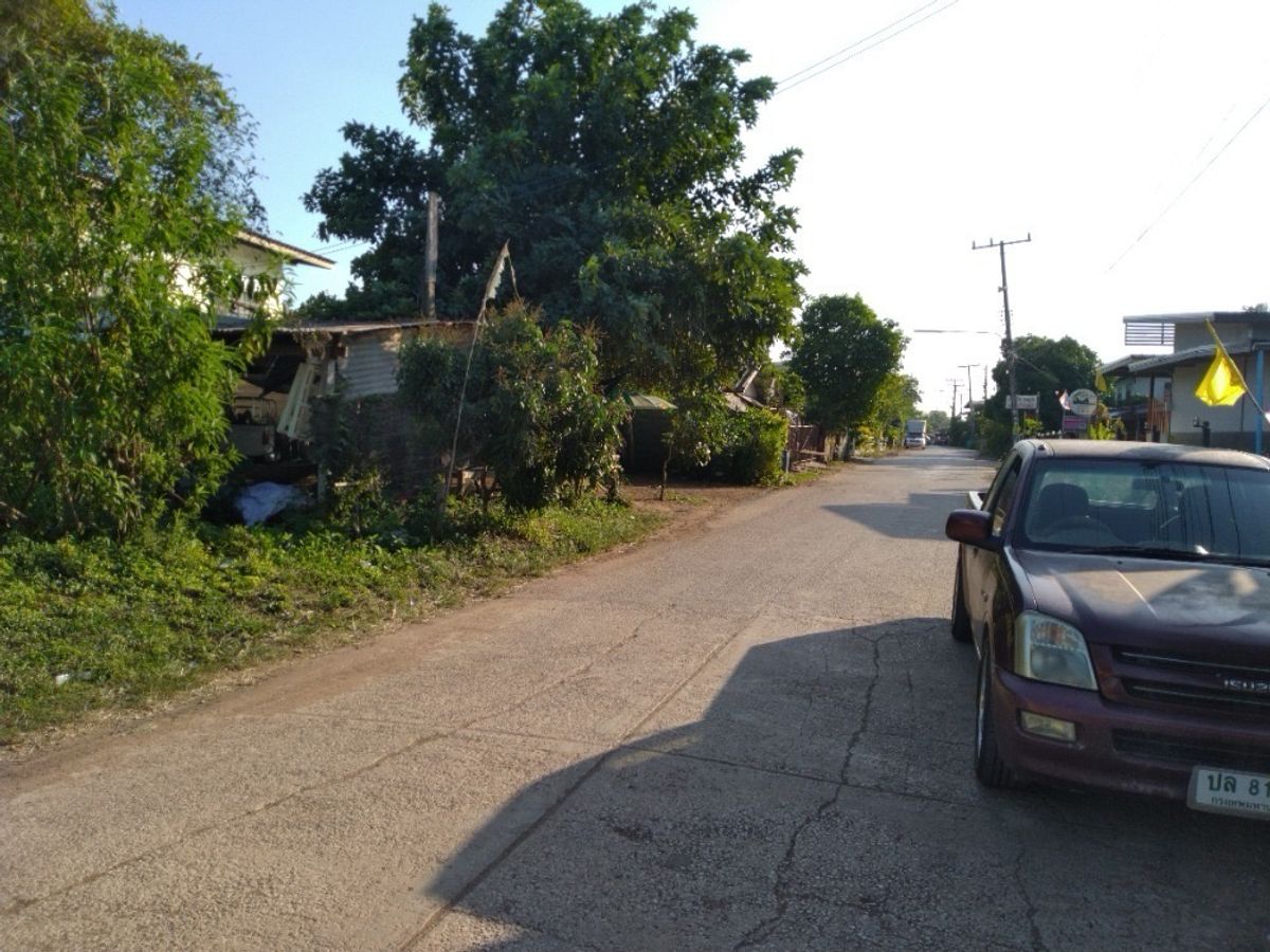 Land for Sale – 191.3 sq.w. (Freehold Chanote Title) on Main Road, near Lotus Wang Nam Yen – รูปที่ 4