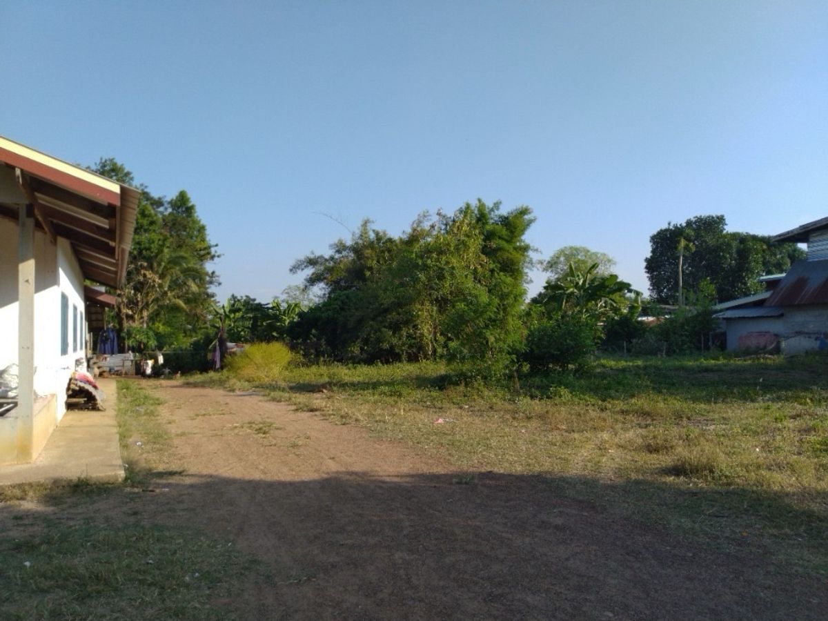 Land for Sale – 191.3 sq.w. (Freehold Chanote Title) on Main Road, near Lotus Wang Nam Yen – รูปที่ 3
