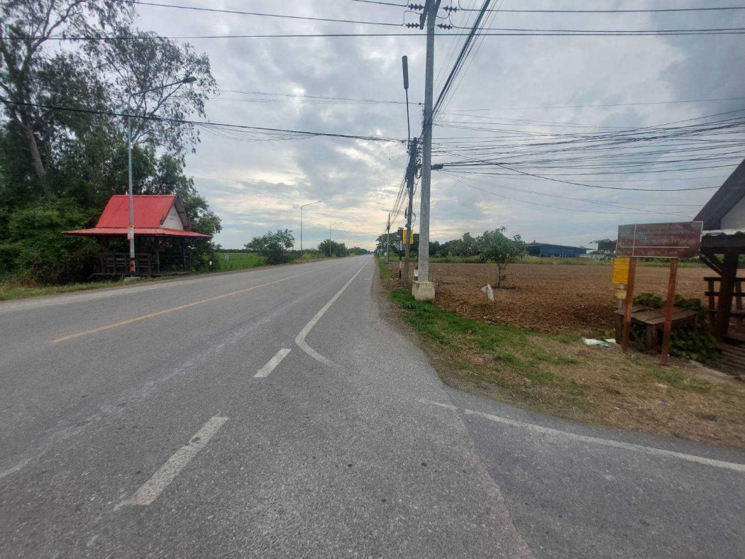 ขาย ที่ดิน ริมถนน ปท.4001 67 ไร่ 1 งาน เหมาะกับการลงทุน – รูปที่ 3