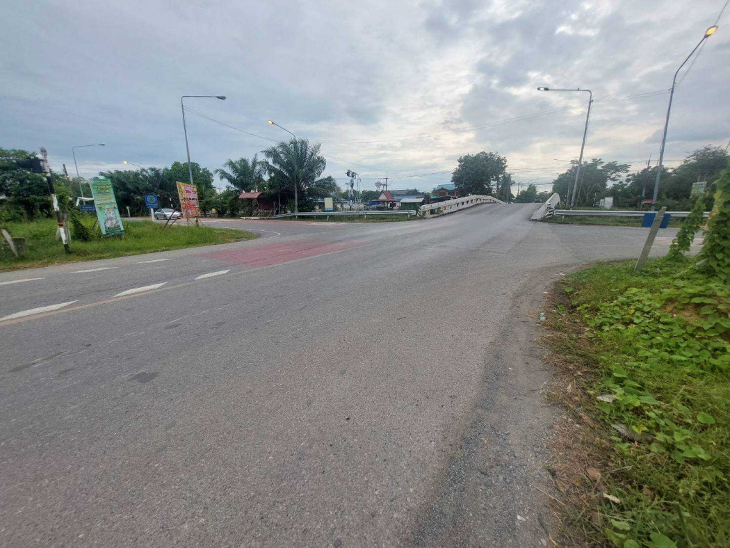 ขาย ที่ดิน ริมถนน ปท.4001 67 ไร่ 1 งาน เหมาะกับการลงทุน – รูปที่ 4
