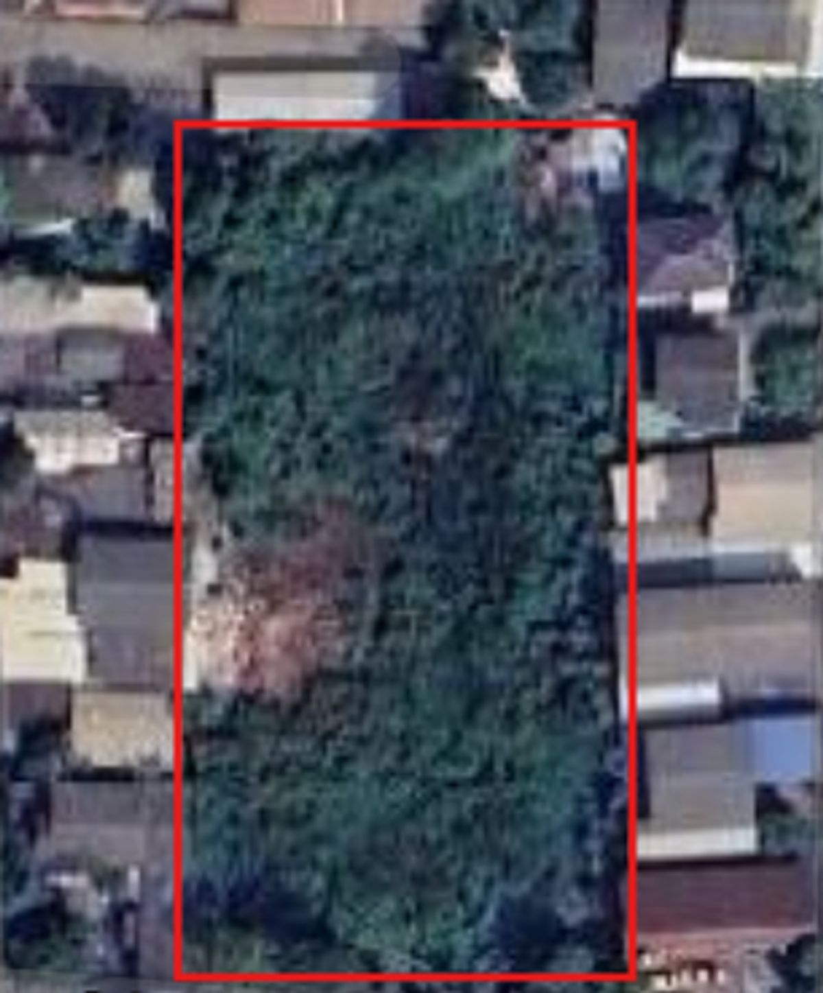 ♢ Spacious Land ♢ ขนาดที่ดิน 1,103.00 ตร.ว. | แปลงใหญ่ | ใกล้ จุดขึ้นลงทางด่วนงามวงศ์วาน , ถนนติววานนท์ – รูปที่ 4
