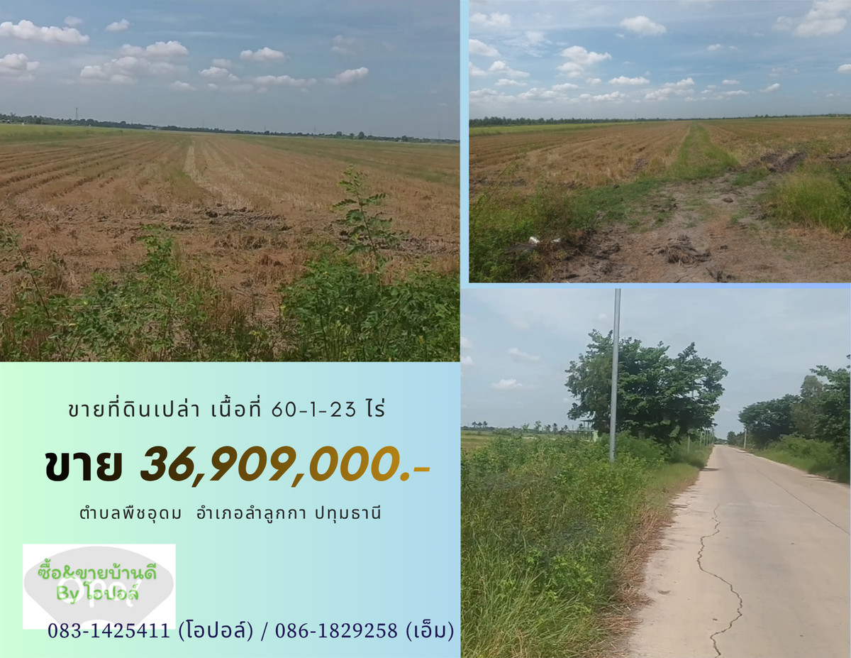 ขายที่ดินถูก ลำลูกกาคลอง 13 ไร่ละ 613,000.00.- บาท ติดถนน คสล. กว้าง 6 เมตร ขายที่ดินถูก ลำลูกกาคลอง 13 ไร่ละ 613,000.00.- บาท ติดถนน คสล. กว้าง 6 เมตร