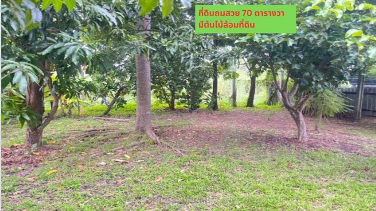 ขายที่ดินถมแล้วพร้อมสวนต้นไม้ร่มรื่น 70ตรว. ทำเลดีมาก ในซอยร่มรื่น เงียบสงบ ดอนเมือง ซ.วัดเวฬุวนาราม 9 แยก14 กรุงเทพ ขายที่ดินถมแล้วพร้อมสวนต้นไม้ร่มรื่น 70ตรว. ทำเลดีมาก ในซอยร่มรื่น เงียบสงบ ดอนเมือง ซ.วัดเวฬุวนาราม 9 แยก14 กรุงเทพ