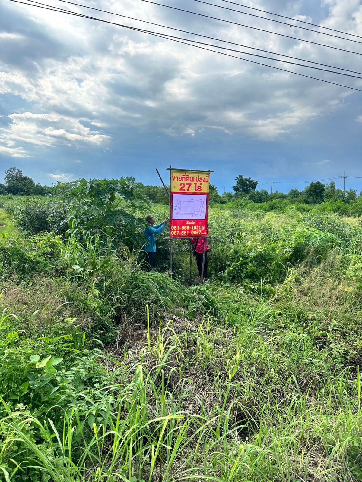 Land for sale 26 rai 3 ngan 78 sq.m. on the highway road Saraburi-Lom Sak (21) – รูปที่ 3
