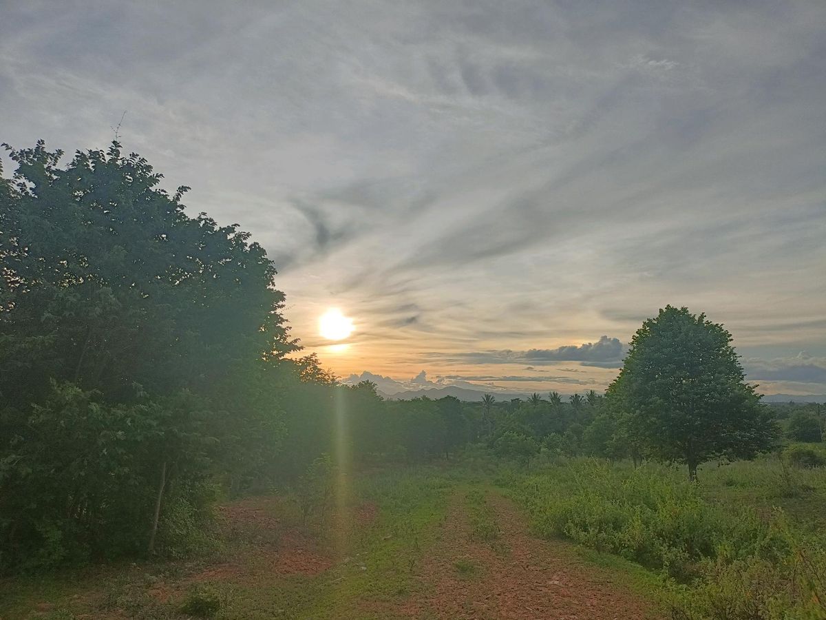 Land for sale in the red deed On the hill, Khao Na Huai Viewpoint