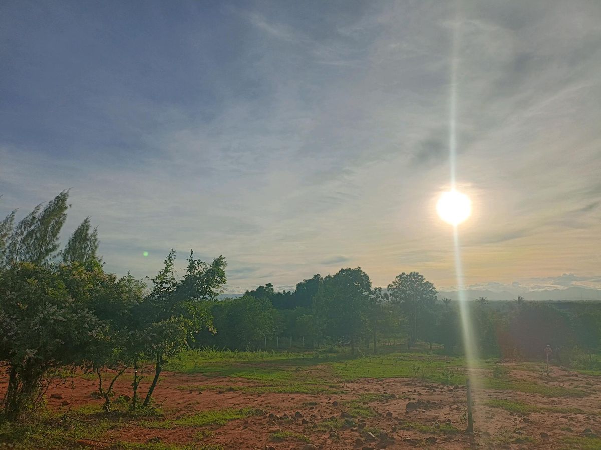 Land for sale in the red deed On the hill, Khao Na Huai Viewpoint – รูปที่ 3