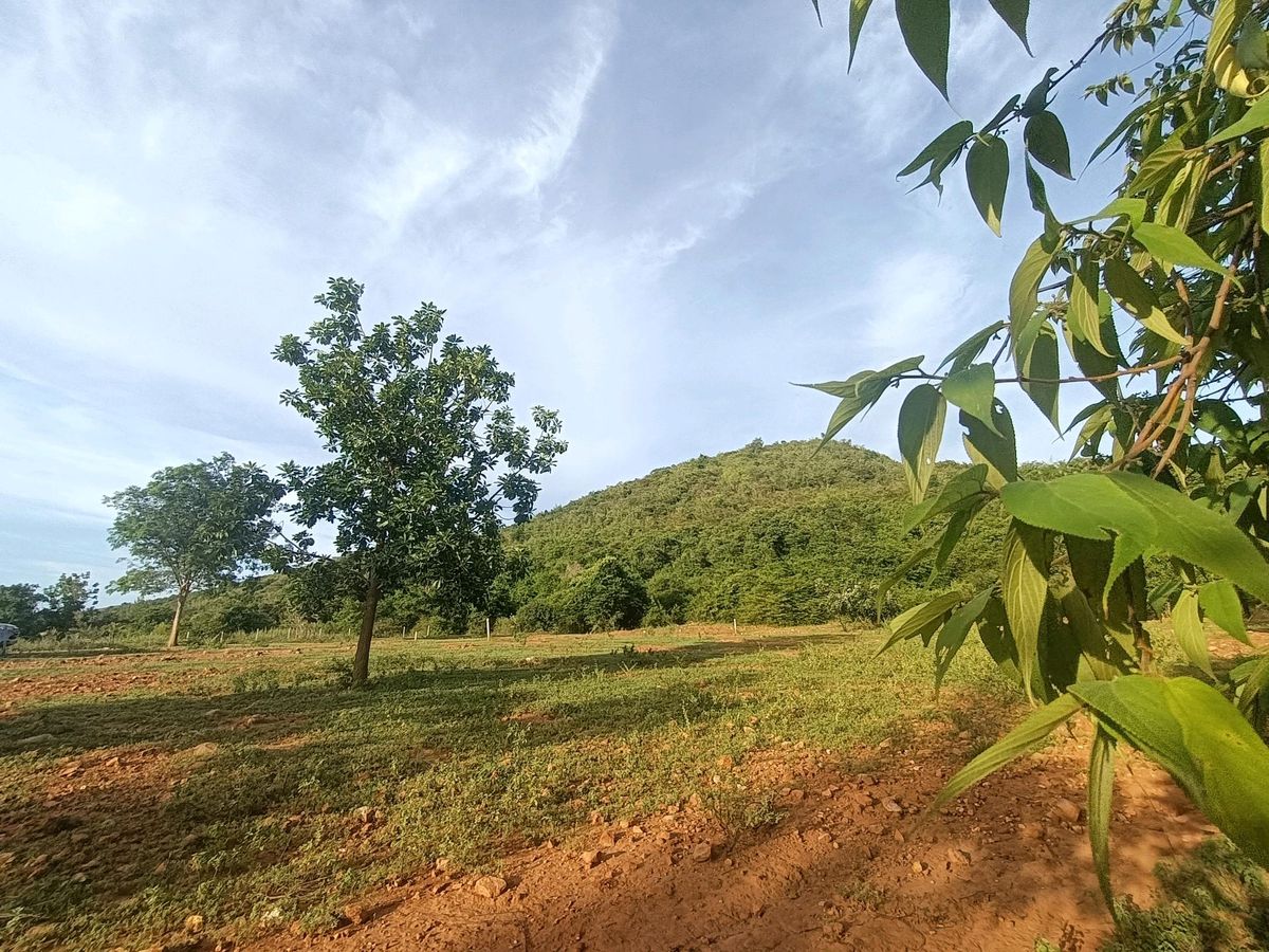 Land for sale in the red deed On the hill, Khao Na Huai Viewpoint – รูปที่ 2