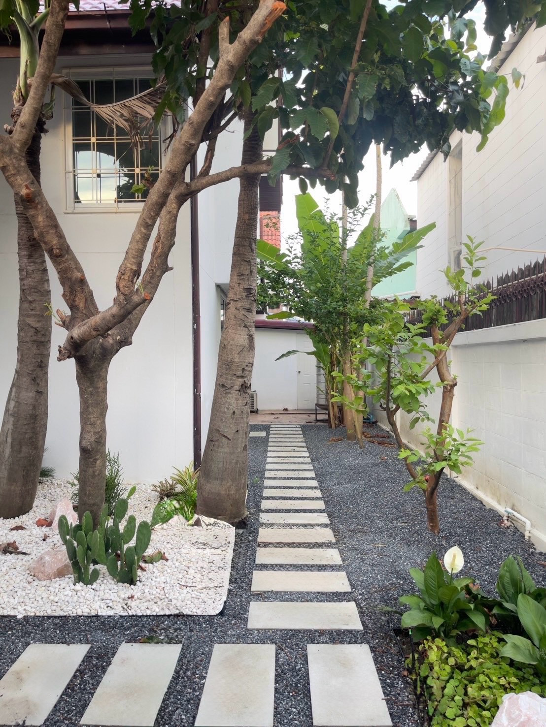 บ้านเดี่ยวลาดพร้าว 80 / 3 ห้องนอน 3 ห้องน้ำ /55,000 – รูปที่ 2