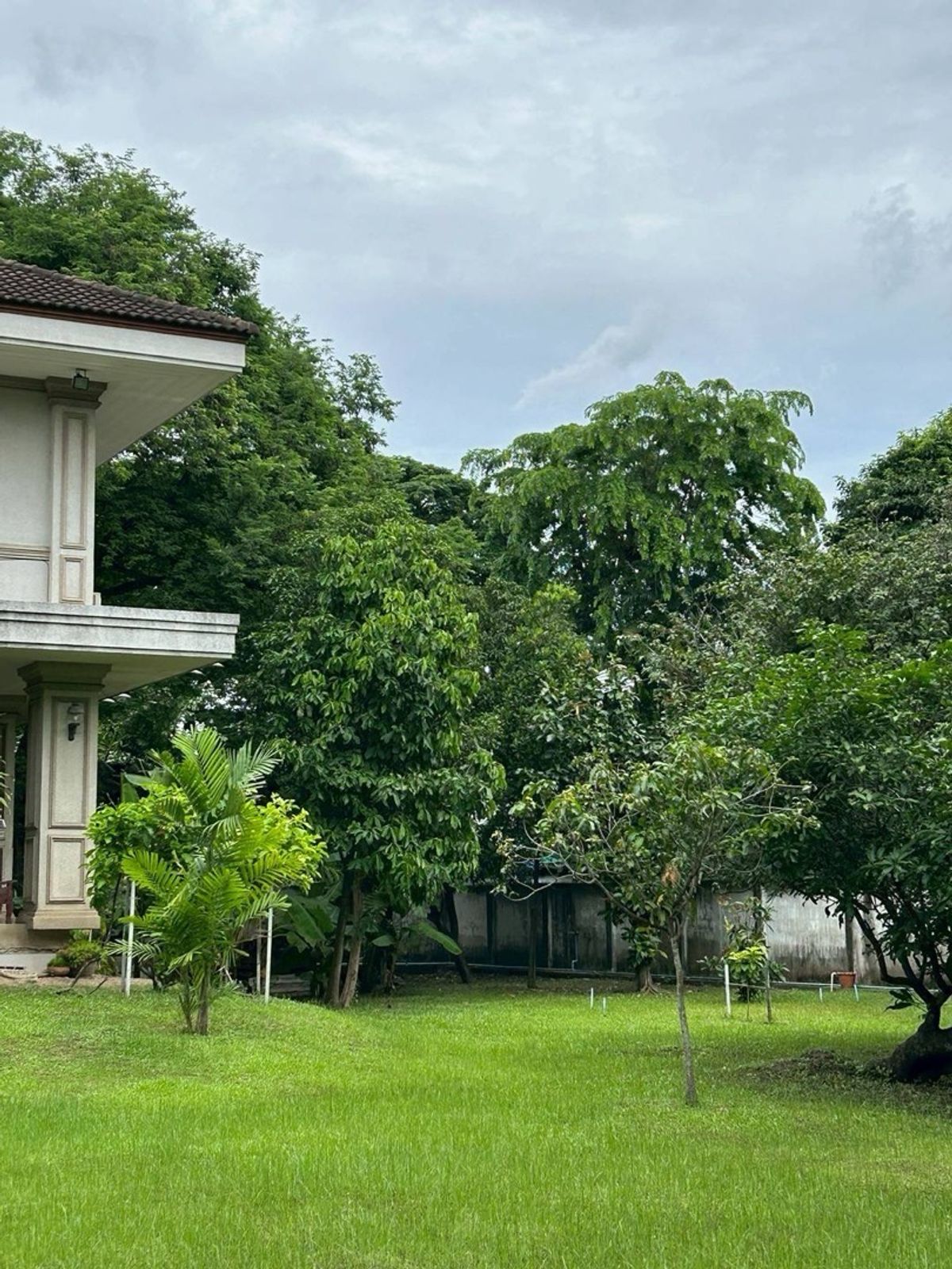 โครงการนวธานี เสรีไทย 🏡✨คฤหาสน์หรูใจกลางธรรมชาติสงบและเป็นส่วนตัวดั่งโอเอซิสในกรุงเทพฯ  – รูปที่ 3