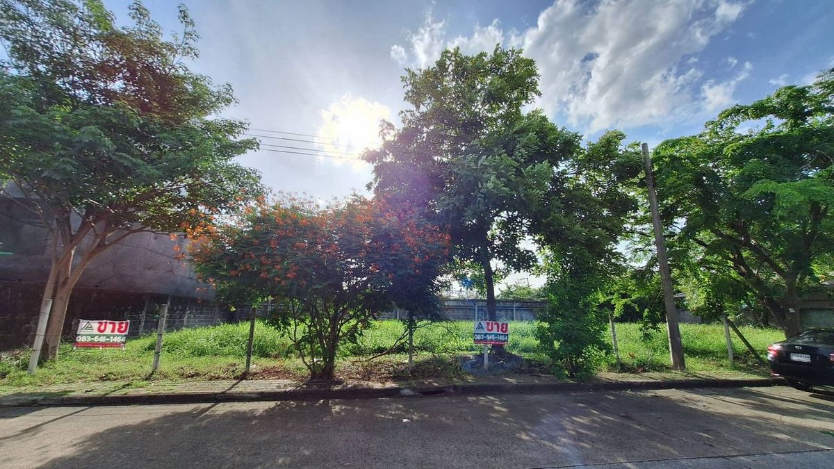 Land for sale in Krisada Nakhon Village, Bangna Trat, Km. 7 Land for sale in Krisada Nakhon Village, Bangna Trat, Km. 7