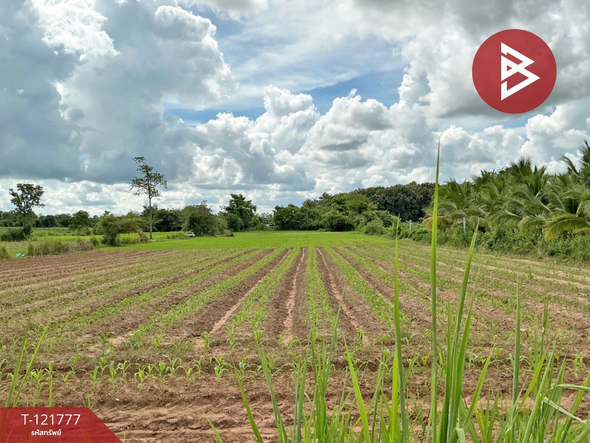 Beautiful land for sale, area of 6 rai 40 square wah, Nong Hai Udon Thani, gold location Beautiful land for sale, area of 6 rai 40 square wah, Nong Hai Udon Thani, gold location