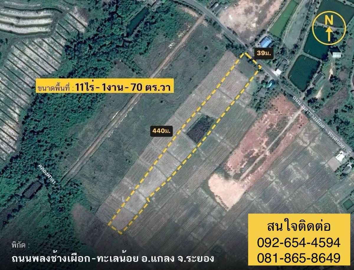 ที่ดิน11ไร่ ราคาถูก ทำเลดีติดถนน อำเภอแกลง ระยอง
