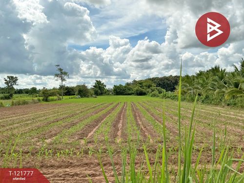 Beautiful land for sale, area of ​​6 rai 40 square wah, Nong Hai Udon Thani, gold location