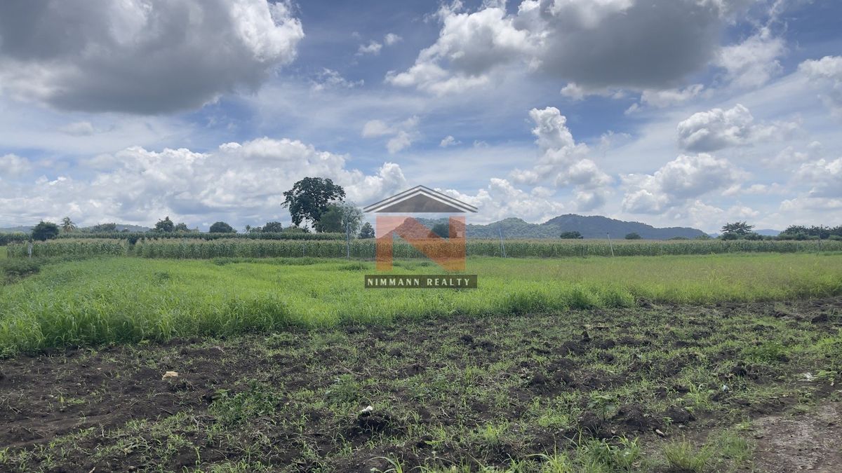 ที่ดิน 62 ไร่ ต.กลางดง อ.ปากช่อง จ.นครราชสีมา – รูปที่ 2