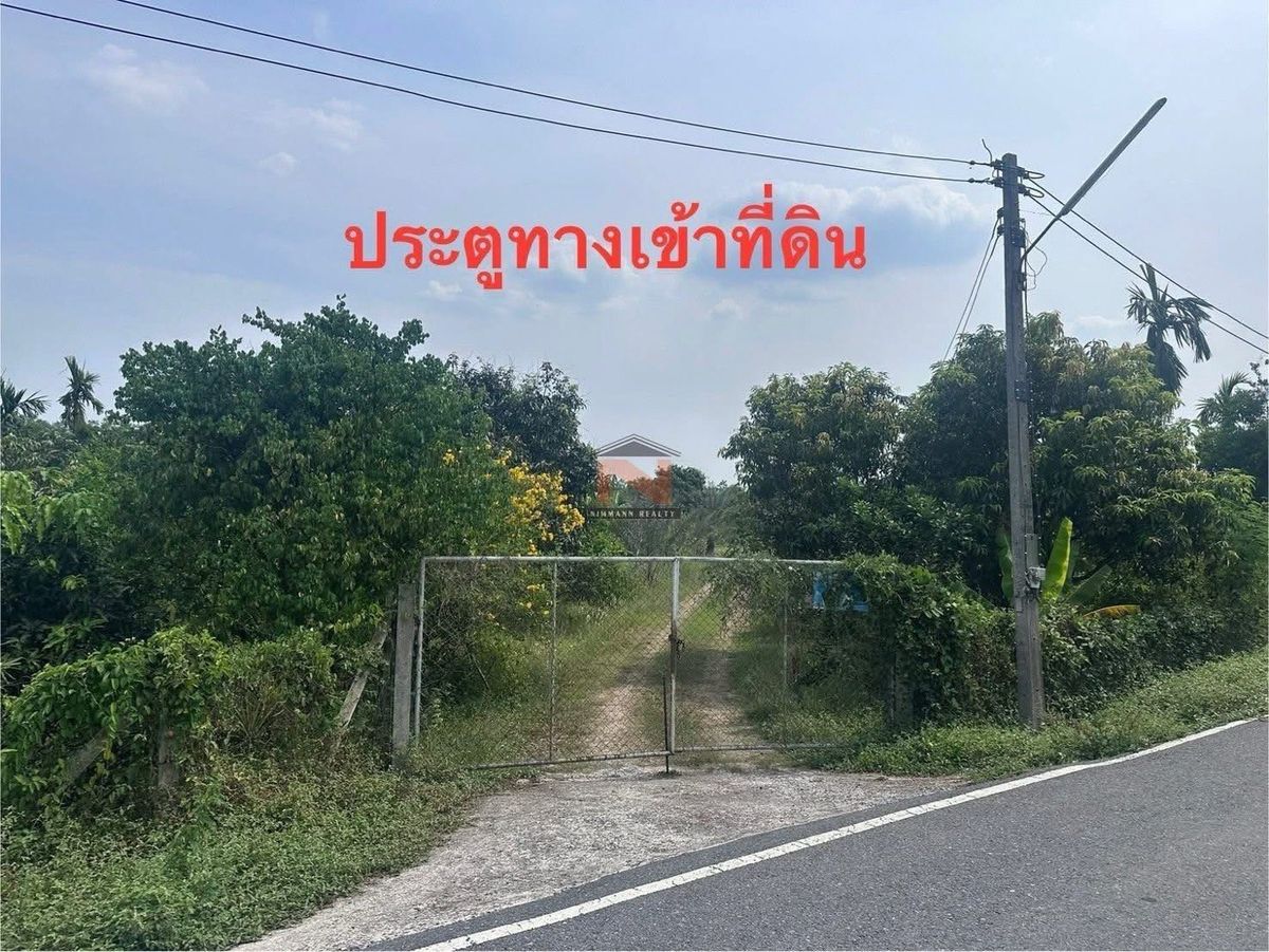 ทึ่สวนผลไม้ 6-0-21.8 ไร่ อ.บ้านนา จ.นครนายก – รูปที่ 3