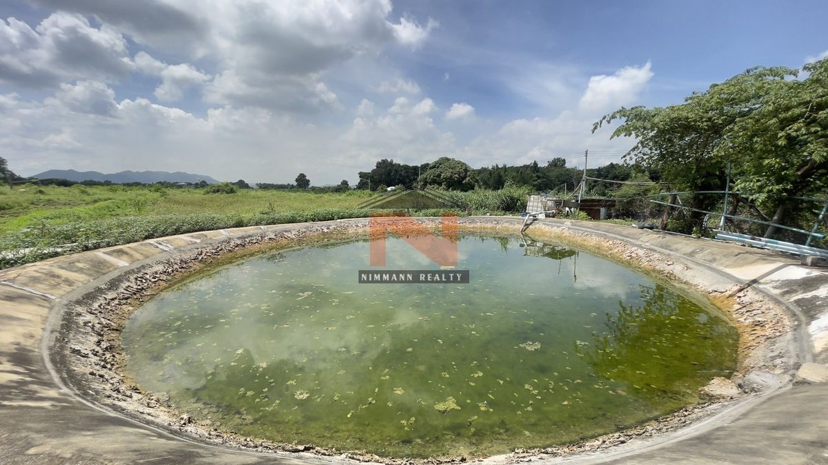ที่ดิน 62 ไร่ ต.กลางดง อ.ปากช่อง จ.นครราชสีมา – รูปที่ 4