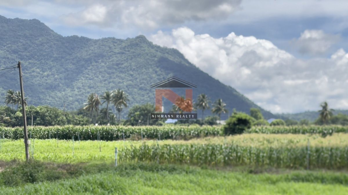 ที่ดิน 62 ไร่ ต.กลางดง อ.ปากช่อง จ.นครราชสีมา – รูปที่ 3