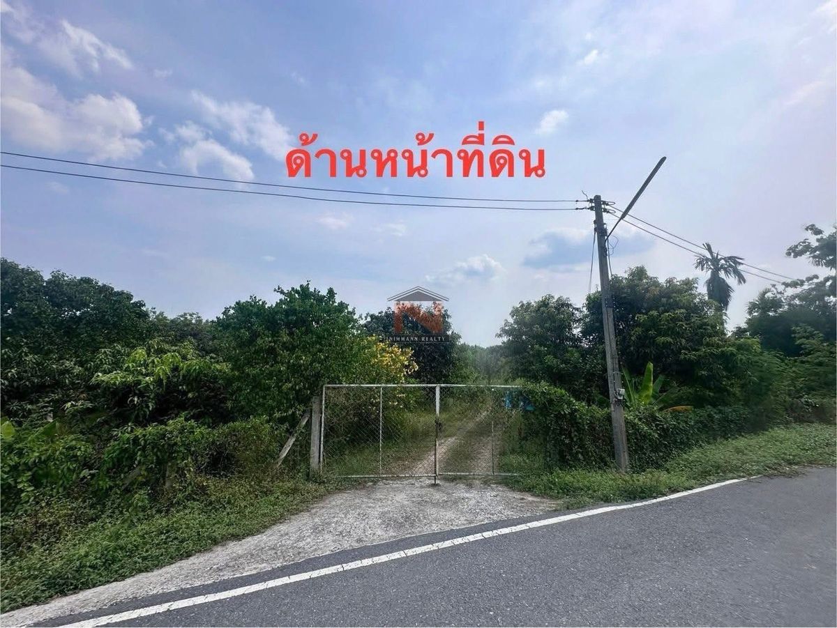 ทึ่สวนผลไม้ 6-0-21.8 ไร่ อ.บ้านนา จ.นครนายก – รูปที่ 4