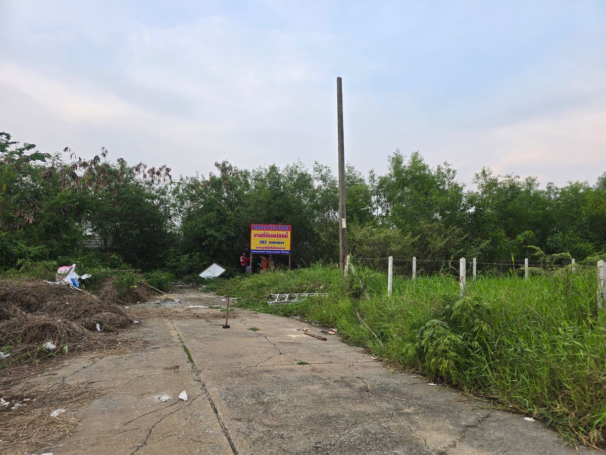 ขายขาดทุน  ที่ดินเปล่าถนนคลองหลวง  โครงการรังสิต เลคแลนด์  383 ตรว.  (ต่ำกว่าราคาประเมิน) – รูปที่ 3