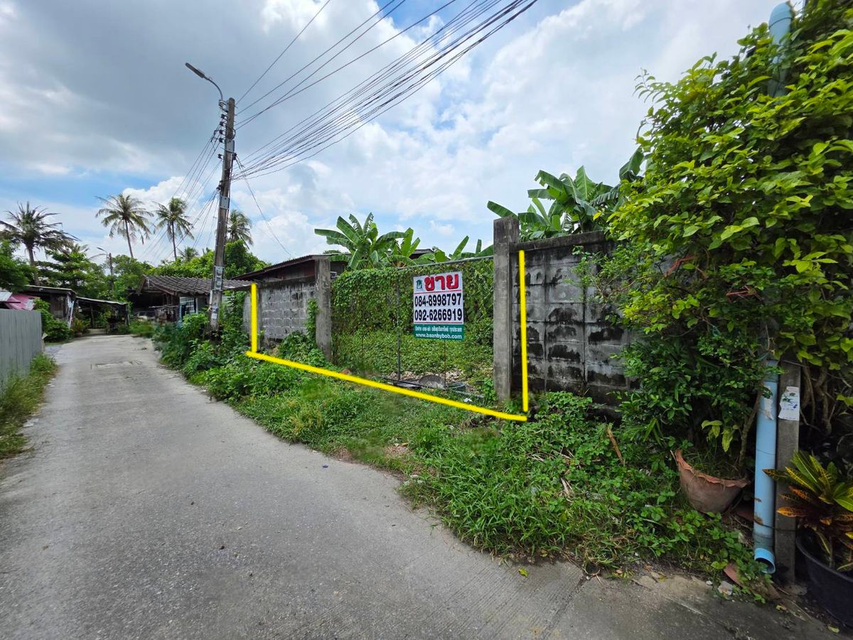 ขายที่ดินเปล่า 104 ตร.วา. พุทธมณฑลสาย 1 ซอย 13 (แยก 4) ใกล้โรงเรียนเซนต์ปีเตอร์ธนบุรี ที่ถมแล้วและทำรั้วคอนกรีตรอบแปลงที่ดินแล้ว – รูปที่ 4