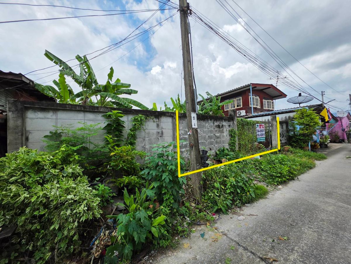 ขายที่ดินเปล่า 104 ตร.วา. พุทธมณฑลสาย 1 ซอย 13 (แยก 4) ใกล้โรงเรียนเซนต์ปีเตอร์ธนบุรี ที่ถมแล้วและทำรั้วคอนกรีตรอบแปลงที่ดินแล้ว – รูปที่ 2