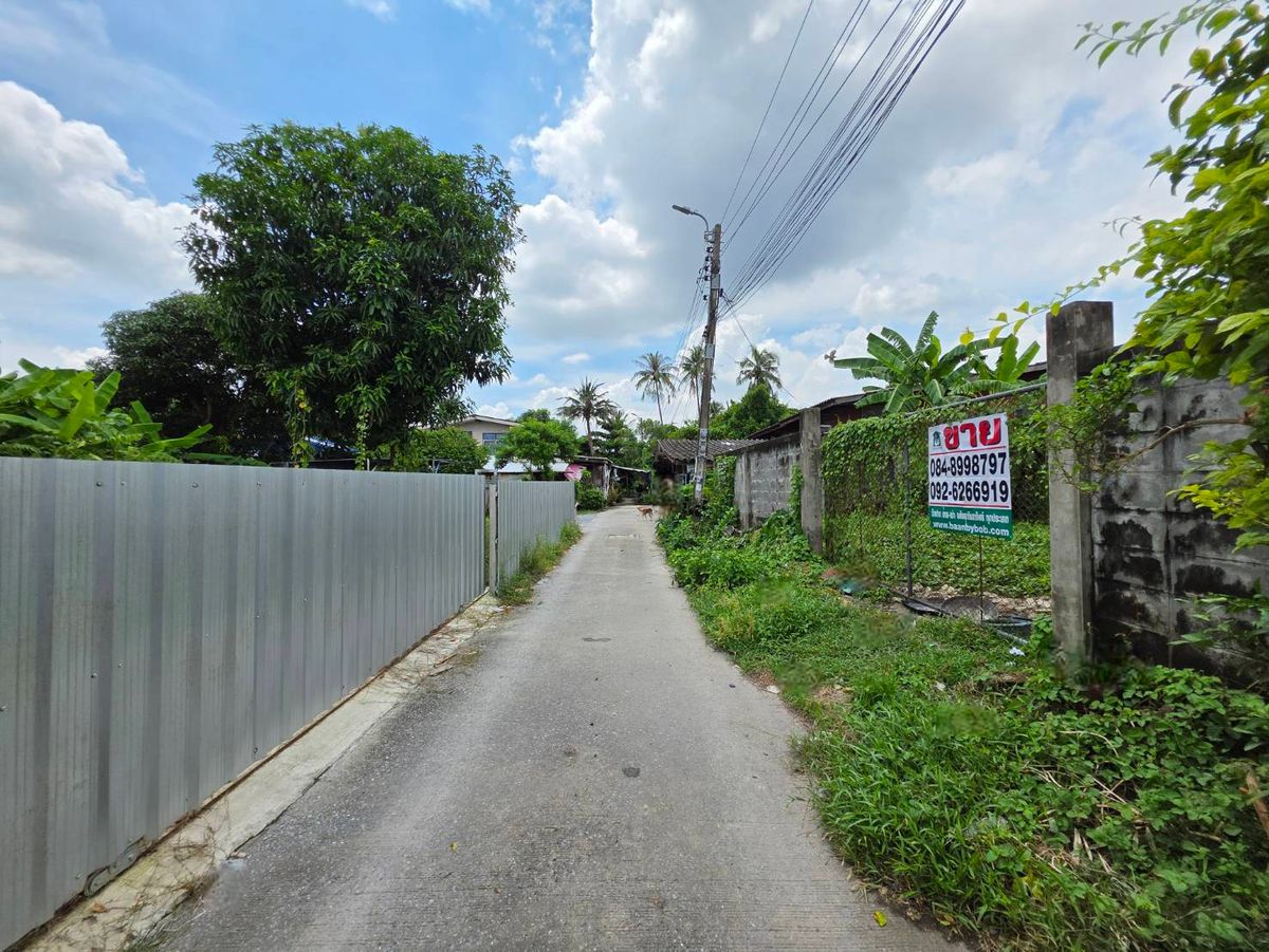 ขายที่ดินเปล่า 104 ตร.วา. พุทธมณฑลสาย 1 ซอย 13 (แยก 4) ใกล้โรงเรียนเซนต์ปีเตอร์ธนบุรี ที่ถมแล้วและทำรั้วคอนกรีตรอบแปลงที่ดินแล้ว – รูปที่ 3