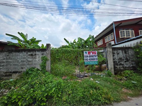 ขายที่ดินเปล่า 104 ตร.วา. พุทธมณฑลสาย 1 ซอย 13 (แยก 4) ใกล้โรงเรียนเซนต์ปีเตอร์ธนบุรี ที่ถมแล้วและทำรั้วคอนกรีตรอบแปลงที่ดินแล้ว
