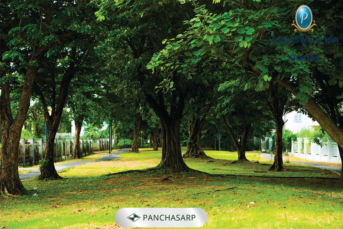 ขาย! ที่ดินเปล่า แปลงสวย 90 ตร.วา โซนหน้าโครงการ  ( ปัญจทรัพย์ พาร์ค ปิ่นเกล้า) – รูปที่ 4