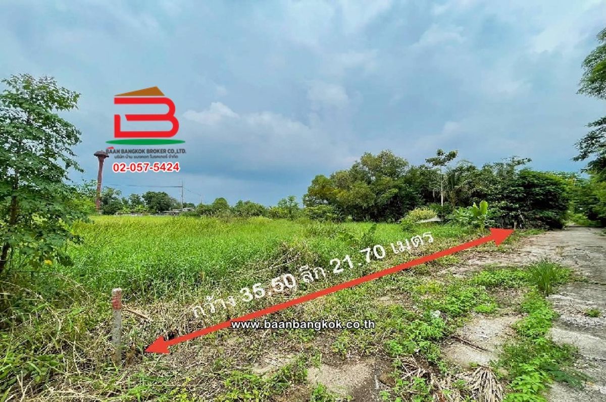 Empty Land, Soi Chalermkit (along the Khlong 12) area of ​​200 sq.w., near the Iga Matol Nong Sam Wang Subdistrict Nong Suea District, Pathum Thani – รูปที่ 2